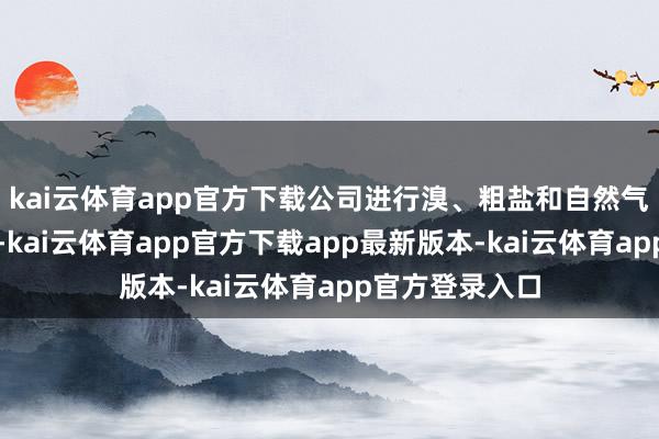 kai云体育app官方下载公司进行溴、粗盐和自然气的坐褥和生意-kai云体育app官方下载app最新版本-kai云体育app官方登录入口
