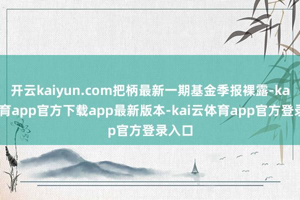开云kaiyun.com把柄最新一期基金季报裸露-kai云体育app官方下载app最新版本-kai云体育app官方登录入口