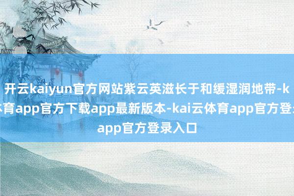 开云kaiyun官方网站紫云英滋长于和缓湿润地带-kai云体育app官方下载app最新版本-kai云体育app官方登录入口