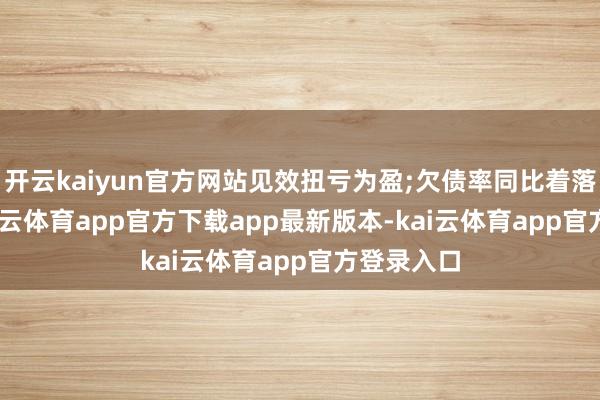 开云kaiyun官方网站见效扭亏为盈;欠债率同比着落 33%-kai云体育app官方下载app最新版本-kai云体育app官方登录入口
